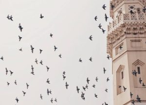Featured Image