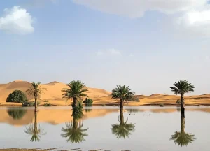 Featured Image