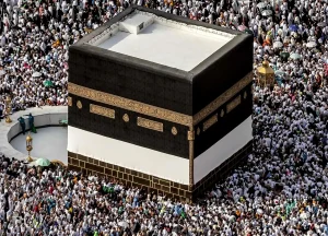 Featured Image